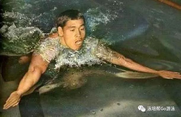 游泳冠军庄泳身材_庄泳夺冠_奥运冠军庄泳现状