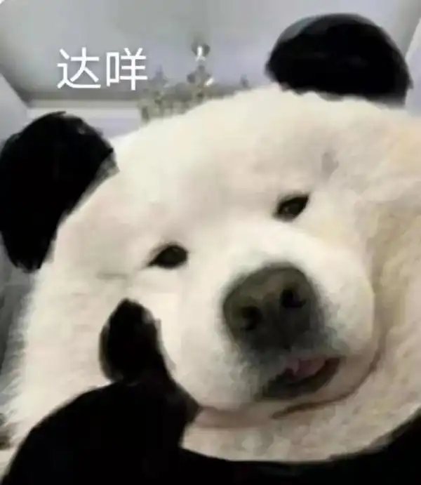 花样游泳规则介绍_花样游泳规则改变_花样游泳什么规则