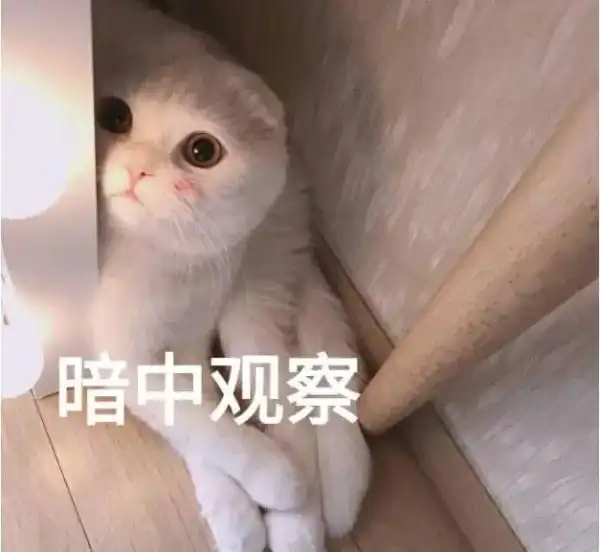 花样游泳规则改变_花样游泳规则介绍_花样游泳什么规则