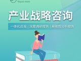 2024-2030年健身器材和室内运动中心市场各领域展望分析报告