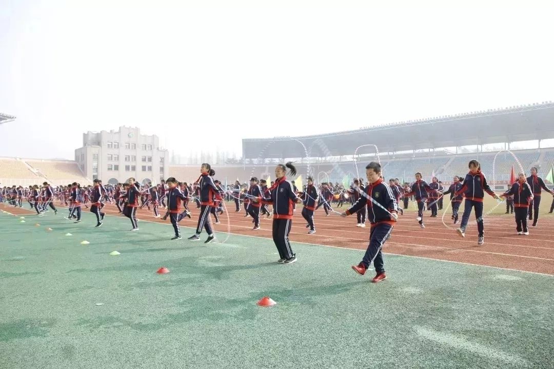 柔道冠军周景_柔道冠军周景_柔道冠军周景