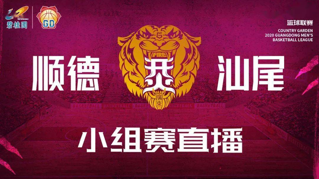 桂林市篮球协会官网_桂林医院篮球联赛冠军名单_桂林篮球队