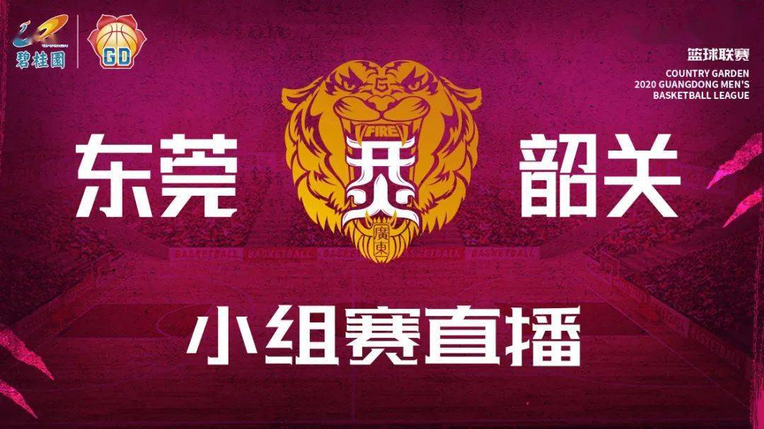 桂林篮球队_桂林市篮球协会官网_桂林医院篮球联赛冠军名单