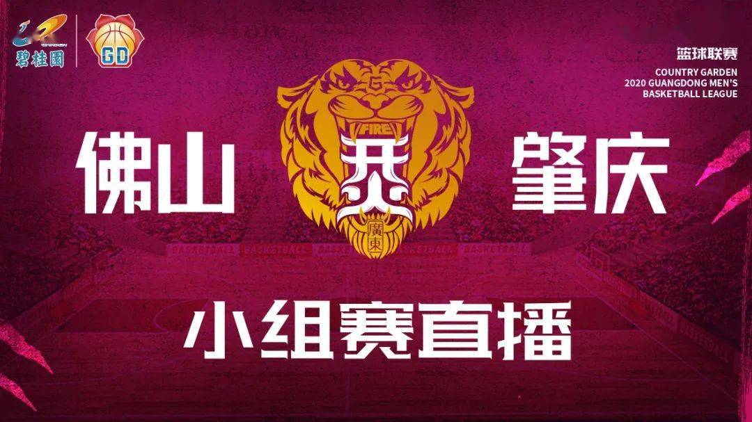 桂林医院篮球联赛冠军名单_桂林市篮球协会官网_桂林篮球队