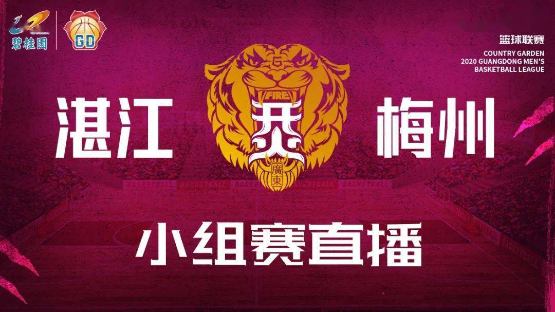桂林篮球队_桂林医院篮球联赛冠军名单_桂林市篮球协会官网