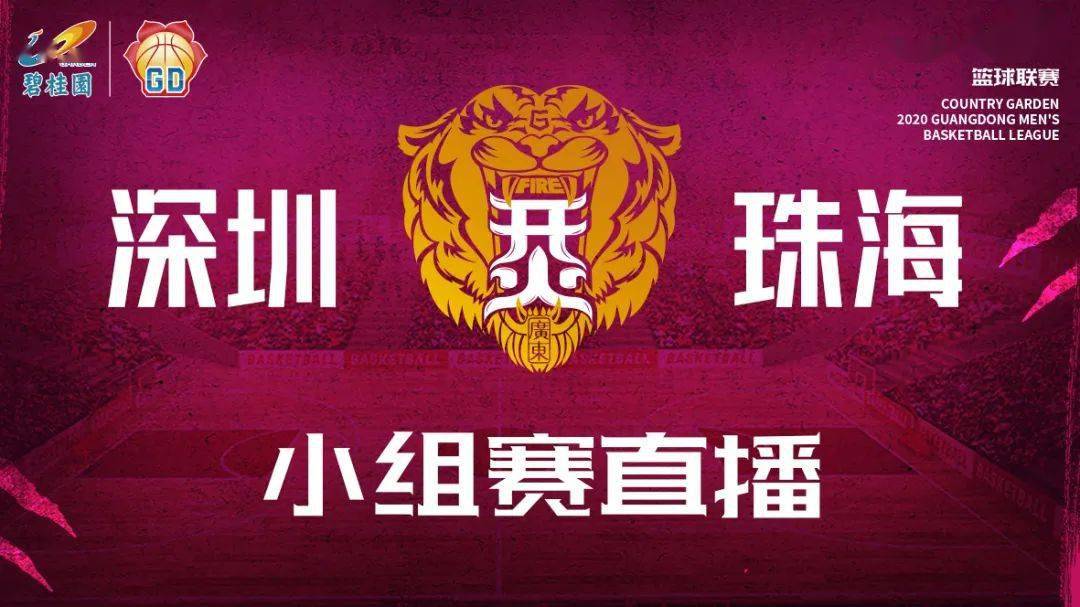 桂林医院篮球联赛冠军名单_桂林篮球队_桂林市篮球协会官网