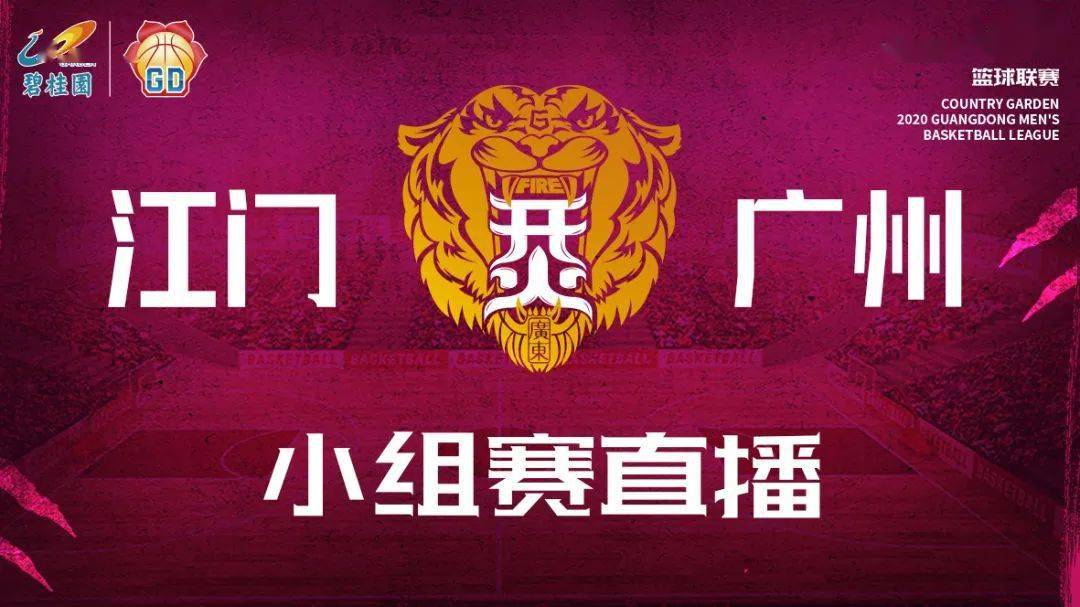 桂林医院篮球联赛冠军名单_桂林市篮球协会官网_桂林篮球队