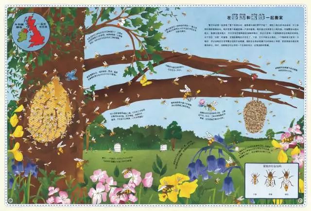 播放经典百科_经典生活百科1991_经典生活剧电视剧
