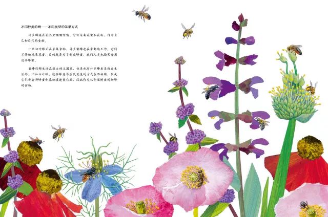 经典生活剧电视剧_经典生活百科1991_播放经典百科