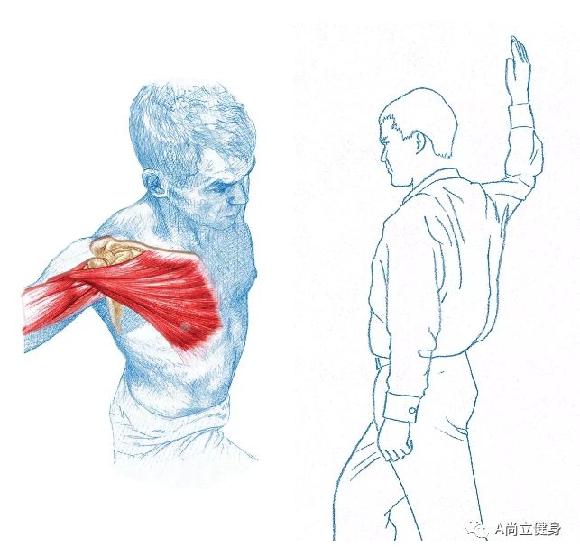 想减肥健身_健身减脂_健身想减脂